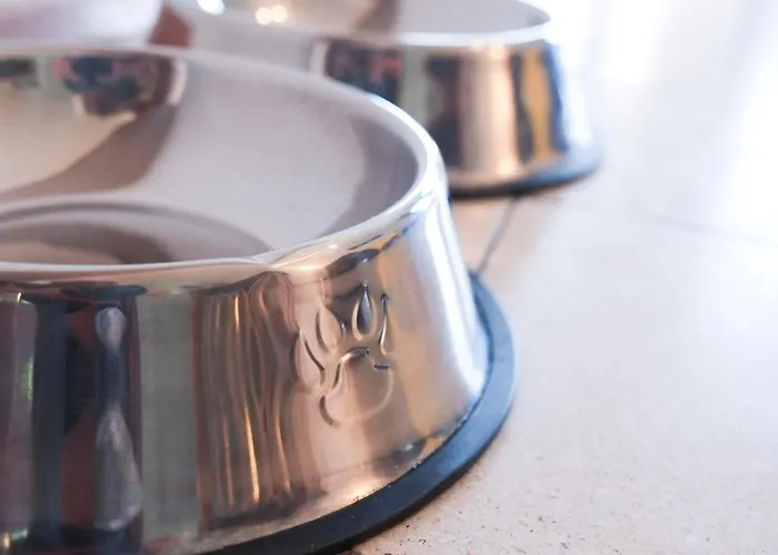 Διαμέρισμα Greenhouse Living 